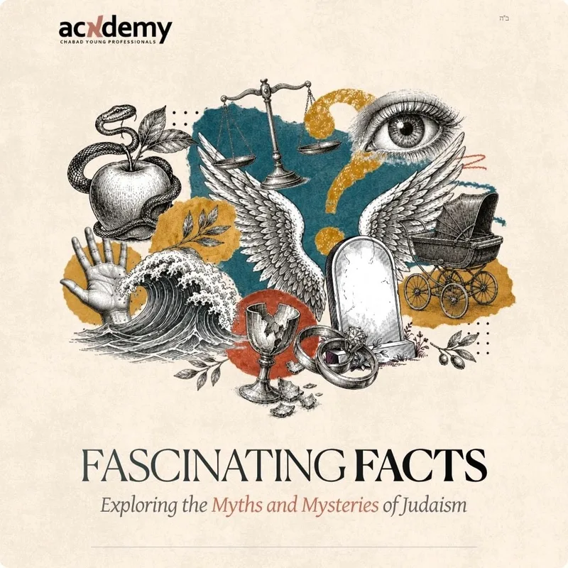 Fascinating Facts course art